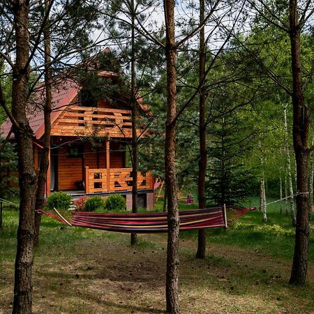 Borowa Chatka Borowy Mlyn Zewnętrze zdjęcie