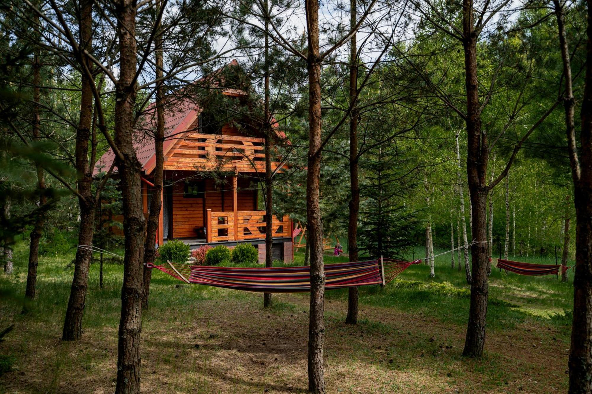 Borowa Chatka Borowy Mlyn Zewnętrze zdjęcie